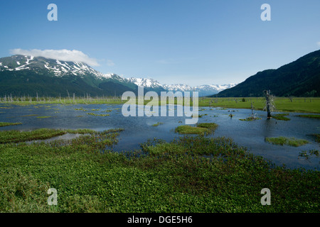 Le zone umide in rotta per Whittier da Anchorage Foto Stock