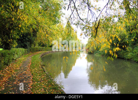 Milton Keynes, Bucks, Regno Unito. Il 19 ottobre 2013. I colori autunnali e lo scenario in ed intorno a Milton Keynes, Buckinghamshire, Inghilterra - 19 ottobre 2013 Foto di Keith Mayhew/Alamy Live News Foto Stock