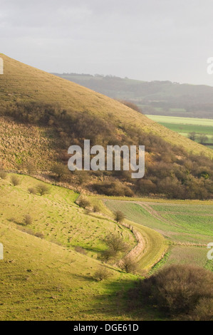 Marlborough Downs ondulate colline di gesso nella valle di Pewsey South West England Regno Unito Foto Stock