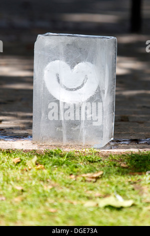 Forma di cuore in un blocco di ghiaccio Foto Stock