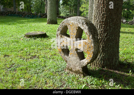 Croce di un cimitero in mezzo a una foresta Foto Stock