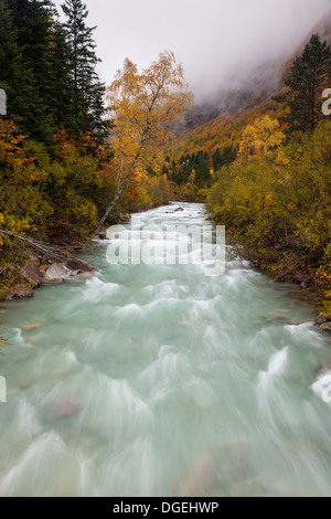 Foresta di faggio e fiume arazas in autunno a Ordesa National Park, Huesca, Aragona, Spagna, Europa Foto Stock