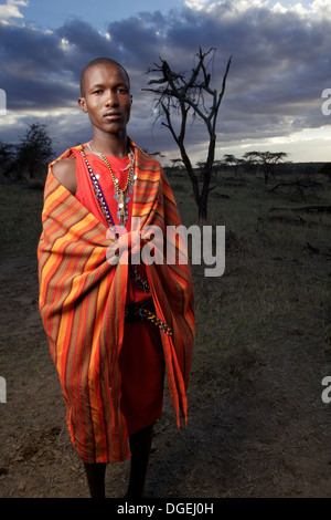 Maasai uomo ritratto, Mara regione, Kenya Foto Stock