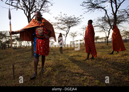 Maasai chief con lancia all'alba, Mara regione, Kenya Foto Stock