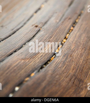 Weathered incrinato driftwood drift legname log registra trave travi sul bagnato pietra ghiaiosa spiaggia ghiaiosa mare in East Sussex Foto Stock