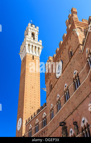 Piazza del Campo è la piazza principale di Siena con vista sul Palazzo Pubblico e la sua Torre del Mangia. Foto Stock