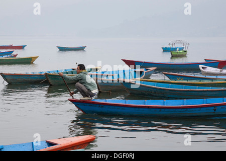 Giovane uomo paddling una barca a remi sul lago Phewa Pokhara, valle di Pokhara, Gandaki Zona, Nepal Foto Stock