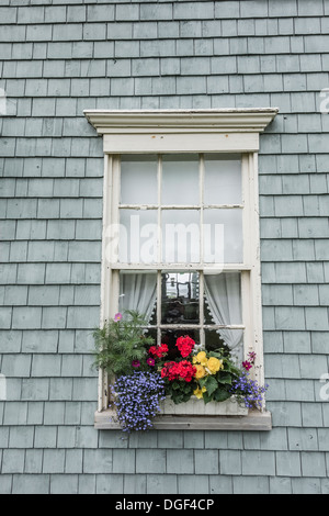 Dettaglio della finestra di Orwell Cove scuola, una piccola vecchia, una camera, legno incastrata, paese scuola su Prince Edward Island, Canada. Foto Stock