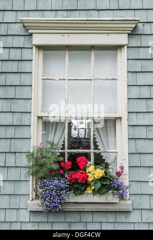 Dettaglio della finestra di Orwell Cove scuola, una piccola vecchia, una camera, legno incastrata, paese scuola su Prince Edward Island, Canada. Foto Stock