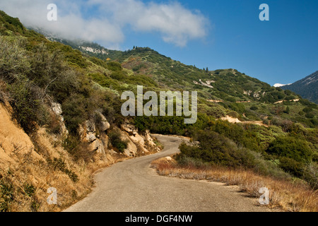 Uno dei 698 curve su strada al minerale re, Sequoia National Park, California Foto Stock