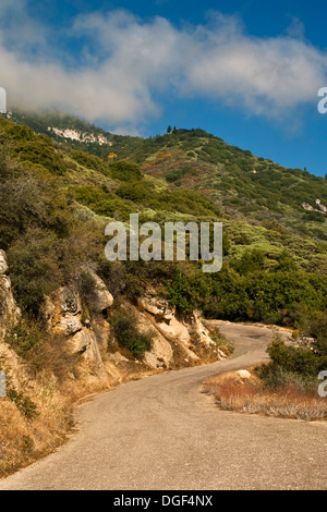 Uno dei 698 curve su strada al minerale re, Sequoia National Park, California Foto Stock