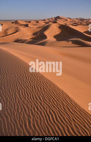 Dune nella luce del mattino, grande mare di sabbia, Merzouga, regione Meknès-Tafilalet, Marocco Foto Stock