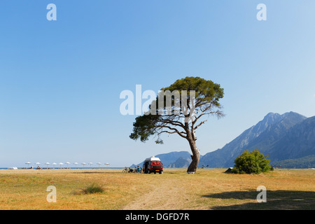 Spiaggia di Olympos, VW van sotto un pino, Çıralı, Lycia, Provincia di Antalya, Turchia Foto Stock