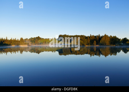La mattina presto umore sul lago Schwaigsee, Wildsteig, Pfaffenwinkel regione, Alta Baviera, Baviera, Germania Foto Stock