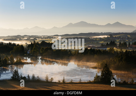 La mattina presto umore sul lago Schwaigsee, Wildsteig, Pfaffenwinkel regione, Alta Baviera, Baviera, Germania Foto Stock