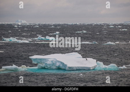 Iceberg galleggianti nel sud dell'Oceano Atlantico, il Mare di Weddell e Penisola Antartica, Antartide Foto Stock