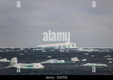 Iceberg galleggianti nel sud dell'Oceano Atlantico, il Mare di Weddell e Penisola Antartica, Antartide Foto Stock