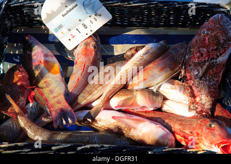 Marsiglia - pesce al mercato del pesce Foto Stock