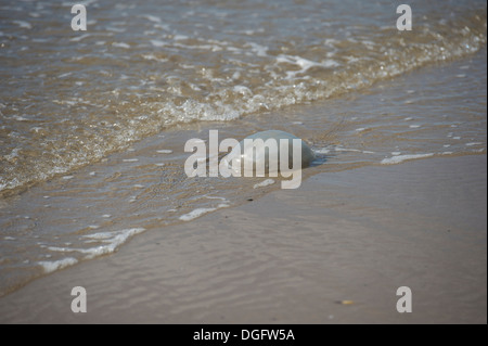 Porth Neigwl, il Galles del Nord scene: Foto Stock