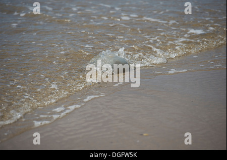 Porth Neigwl, il Galles del Nord scene: Foto Stock