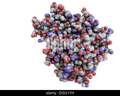 Fattore di necrosi tumorale (TNF, cachexin, cachectin) proteina, una citochina che svolge un ruolo importante nell'infiammazione e immunità. Foto Stock