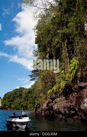 MAURITIUS - 25 giugno: i turisti sul modo di gran fiume cascata del 25 giugno 2013, a Maurizio. Foto Stock