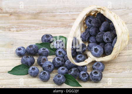 I mirtilli in Piccolo cesto di vimini con spazio di copia Foto Stock