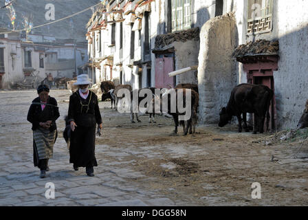 Donne tibetane nella città vecchia di Gyantse, Gyangze, Tibet, Cina e Asia Foto Stock