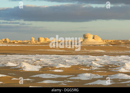 Roccia calcarea formazioni, White Desert, Farafra oasis, Western Desert, Egitto, Africa Foto Stock