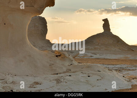 Roccia calcarea formazioni, White Desert, Farafra oasis, Western Desert, Egitto, Africa Foto Stock