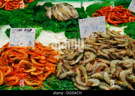 Gamberetti in vendita, sale di mercato, Mercat de la Boqueria, La Rambla, Barcelona, Catalogna, Spagna Foto Stock