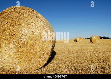 Balle di paglia, rotoballe giacente su un fresco campo falciata, Sassonia-Anhalt Foto Stock