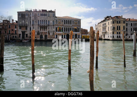 Palazzo da Mula Morosini palace, Palazzo Barbarigo palazzo, Palazzo Loredan Palazzo Cini, Grand Canal, Venezia, Veneto, Italia Foto Stock