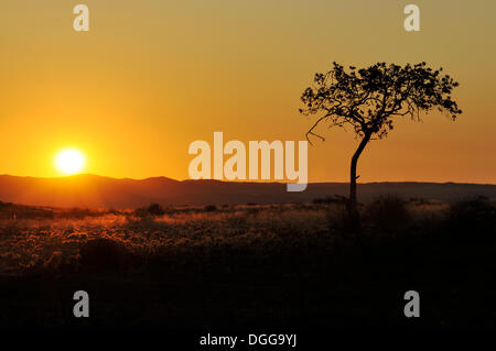 Il tramonto sopra il Sesriem Canyon, Namib-Naukluft-Park, Namibia Foto Stock