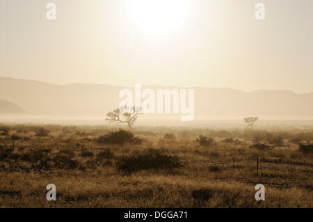 Early Morning mist, Naukluft Mountains, Namib-Naukluft-Park, Namib-Wüste, Namibia Foto Stock