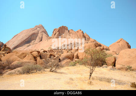 Savana paesaggio con rocce granitiche e montagna Spitzkoppe Große Spitzkuppe Riserva Naturale, Namibia Foto Stock