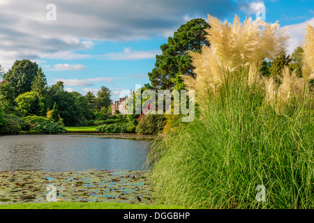 Sheffield Park, Uckfield, East Sussex. Foto Stock