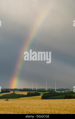 Impianti di energia eolica dietro un grainfield contro il cielo scuro con arcobaleno, Pirk, Sassonia Foto Stock