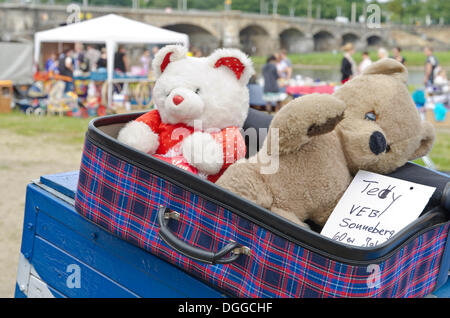 Orsetti di peluche sono offerti in vendita al settimanale mercato delle pulci, Dresda, Sassonia Foto Stock