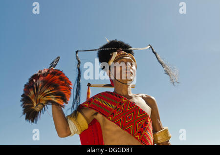 Guerriero della tribù Konyak in attesa di eseguire danze rituali a Hornbill Festival, Kohima, India, Asia Foto Stock