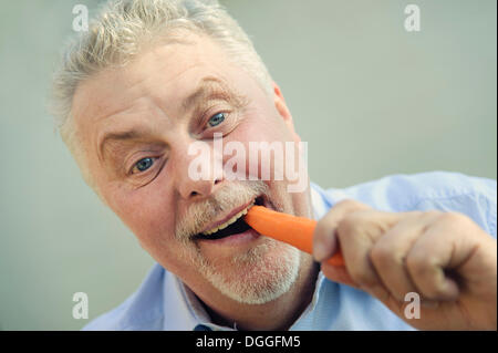 Senior di mangiare una carota con piacere, Grevenbroich, Renania, Renania settentrionale-Vestfalia, Germania Foto Stock