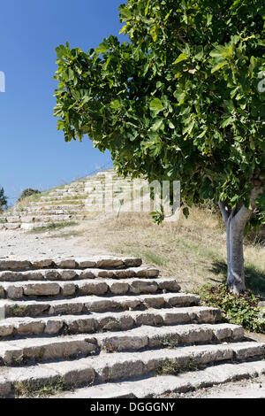 Scale a Troy, Truva, Canakkale, Marmara, Turchia, Asia Foto Stock