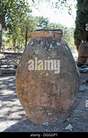 Anfora, Troy, Truva, Canakkale, Marmara, Turchia, Asia Foto Stock