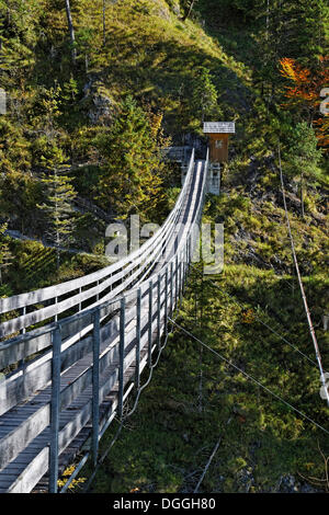 Sospensione ponte che attraversa il fiume Salza, Wasserlochklamm gorge, Palfau, Liezen, Stiria, Stiria, Austria, Europa Foto Stock