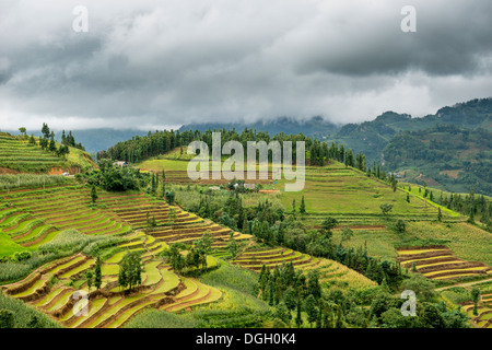 Paesaggio di Bac Ha , Lao Cai, Vietnam Foto Stock