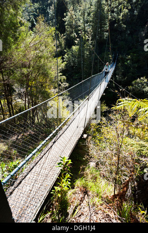 Un viandante attraversando una passerella di sospensione su un fiume su Abel Tasman via litoranea, Isola del Sud, Nuova Zelanda Foto Stock