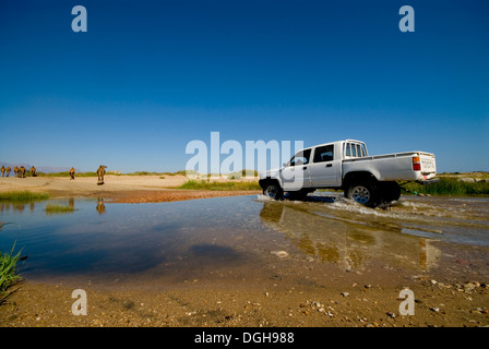 Un'auto attraversa l'acqua vicino ad alcuni cammelli vicino a Mirbat a Salalah in Oman Foto Stock