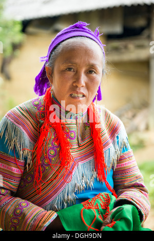 Flower Hmong ricamo womans lavorare a casa , Bac Ha, Lao Cai,Vietnam Foto Stock