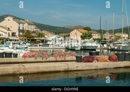 Marina al porticciolo, Cap Corse, Corsica, Francia Foto Stock