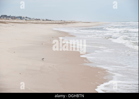 Vista della spiaggia dell'oceano lungo la West Hampton dune, nel West Hampton dune, NY. (26 aprile 2012) Foto da Gordon M. Grant Foto Stock